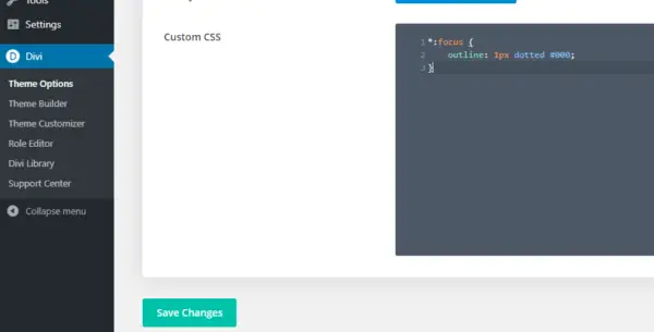 The Custom CSS section of Divi Theme Options with the focus outline code in the Custom CSS box.