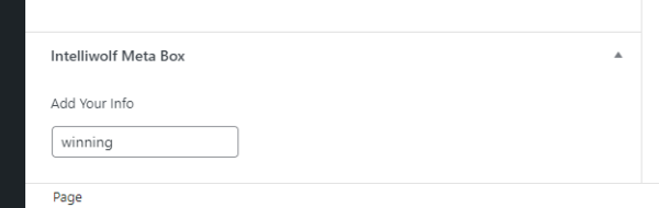 WordPress meta box with winning in the input field